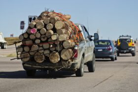 Truck excessively loaded with wood logs.